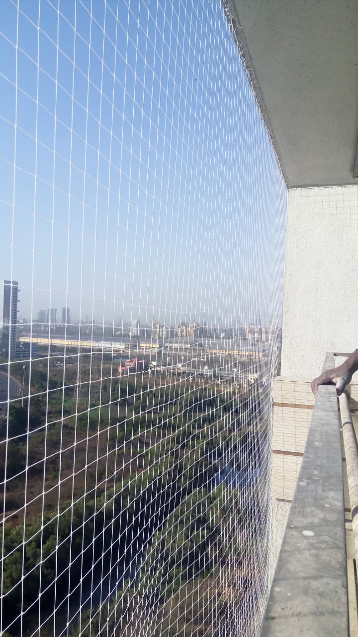 Bird Control Services