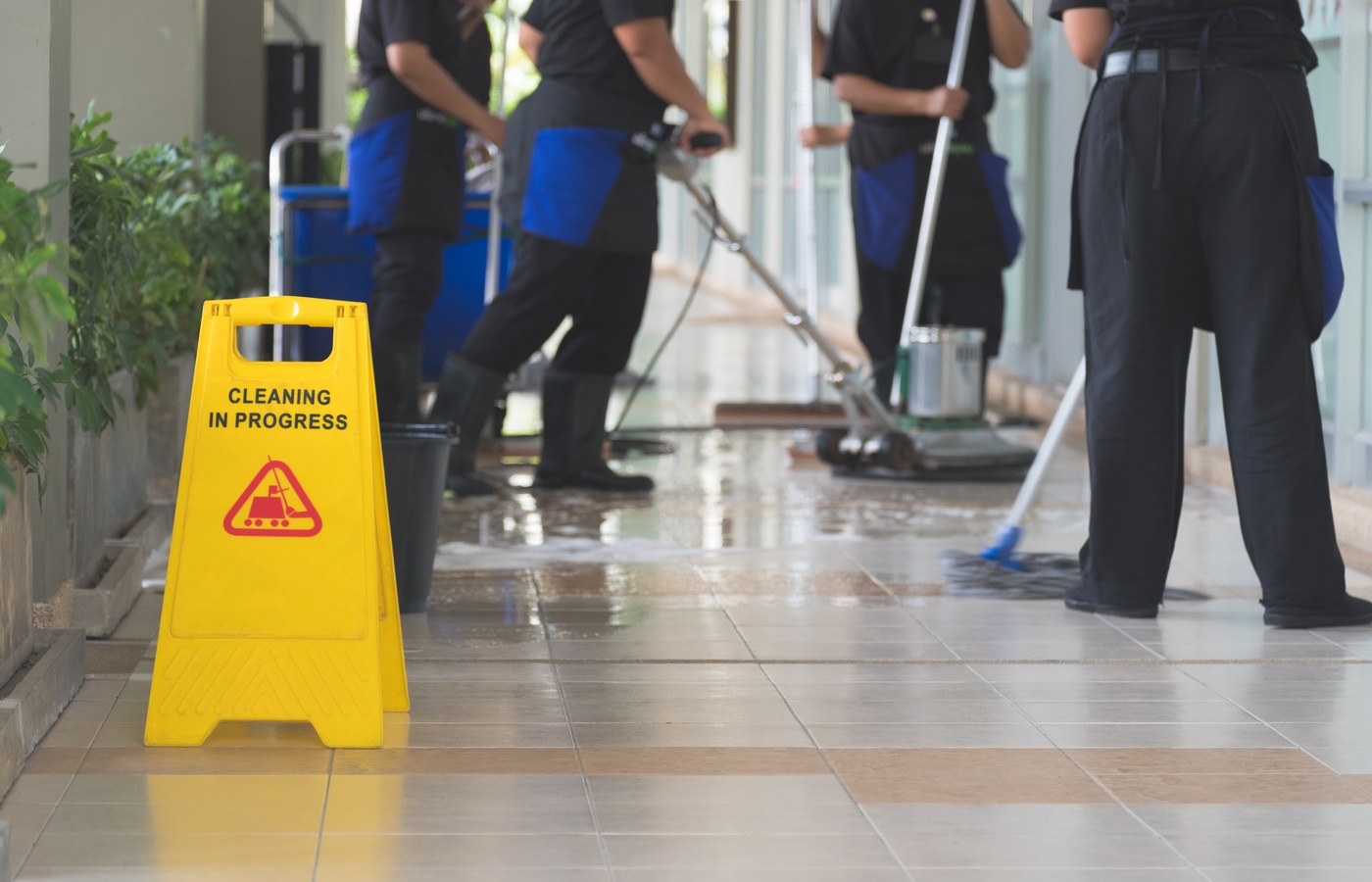 Cleaning & Maintenance